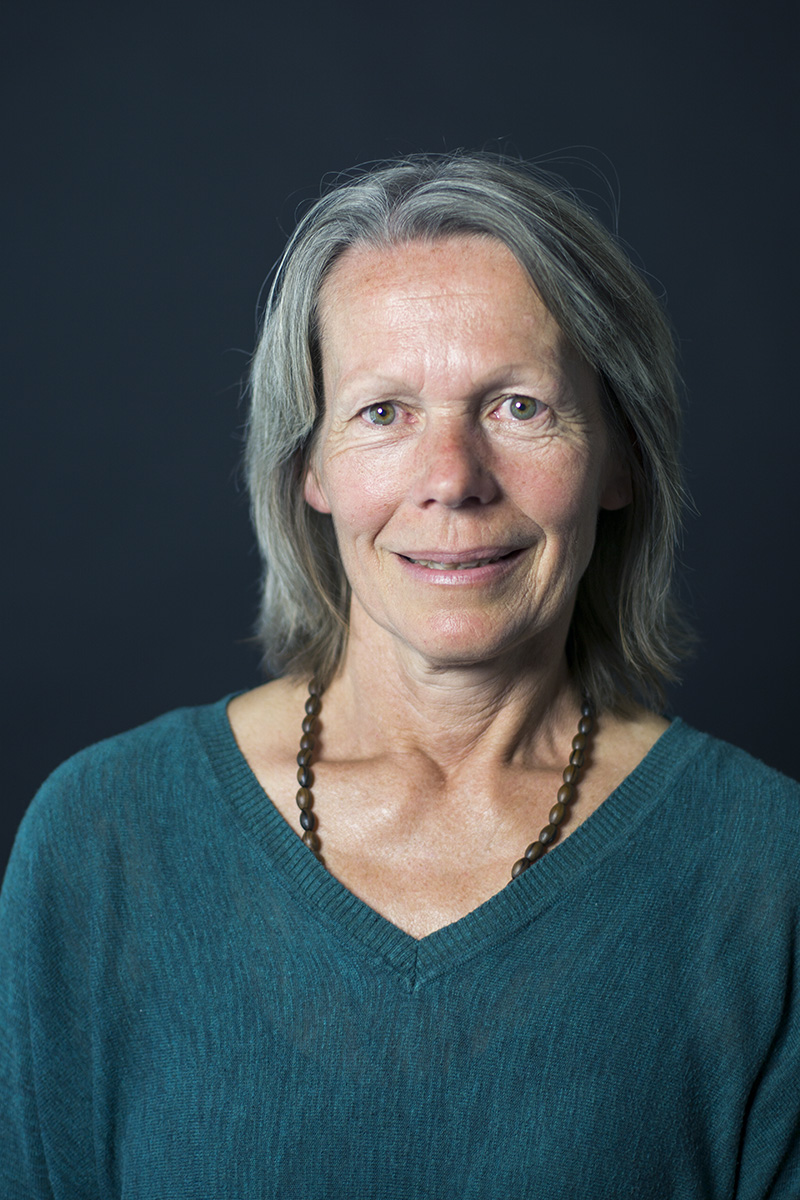 Judith Marchetti